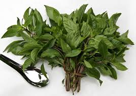 basil