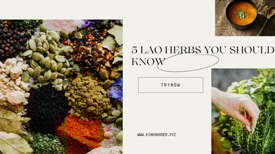 5 Lao Herbs You Should Know (And How They’re Used)